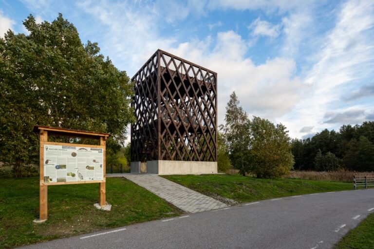 Mustjõe oja vaatlused.jpg