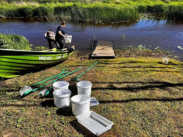 Vee-selgrootute kahvamine Velise jõest
