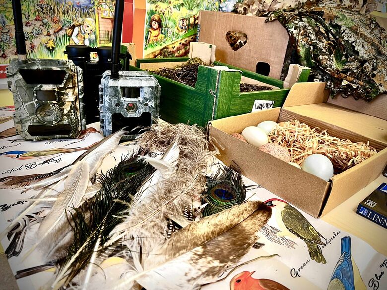 Salapärased sulelised – 1.–3. klassi õpilased uurimas linde loodusprogrammis