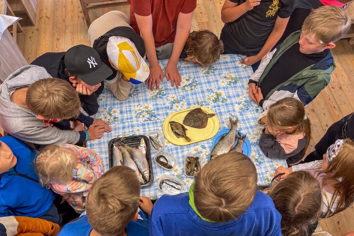 Kalade anatoomia praktikum