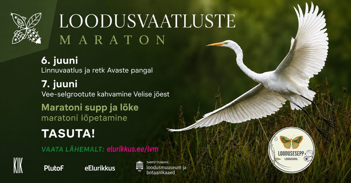 FB_evendi_foto.jpg