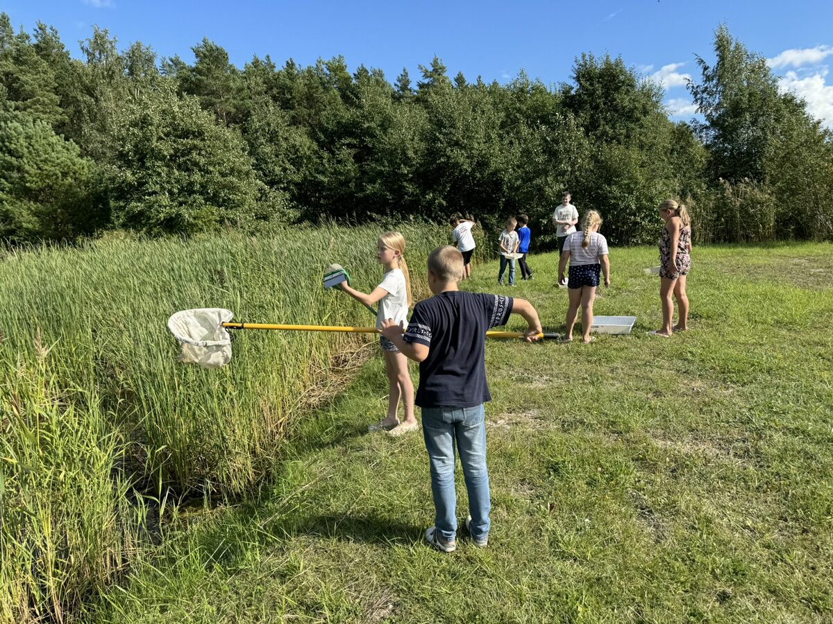 Lapsed püüavad kahvaga tiigist veeselgrootuid