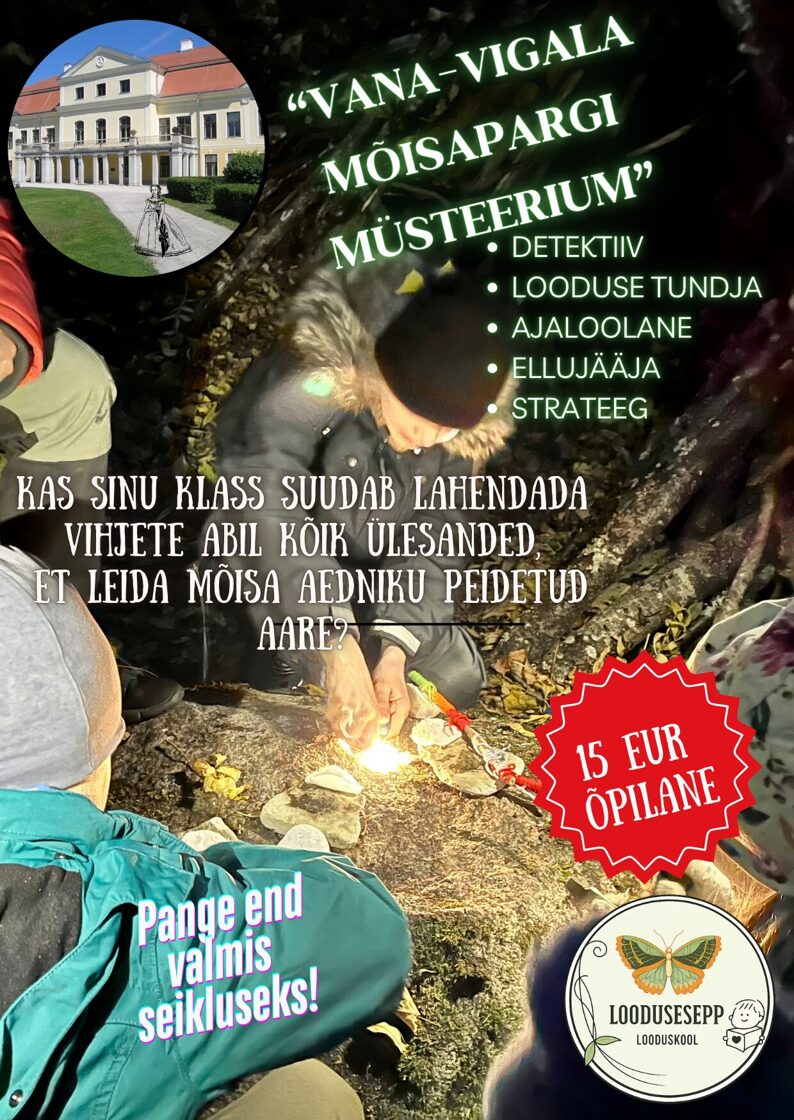 Vana-Vigala mõisa müsteerium, seikluslik programm.